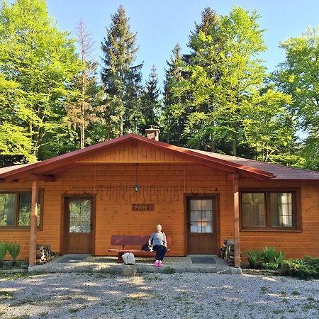 Dom Lidia Villa Szklarska Poręba Kültér fotó