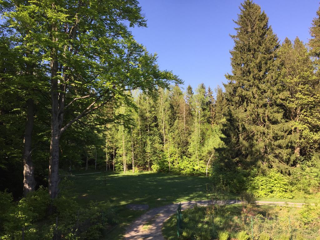 Dom Lidia Villa Szklarska Poręba Kültér fotó