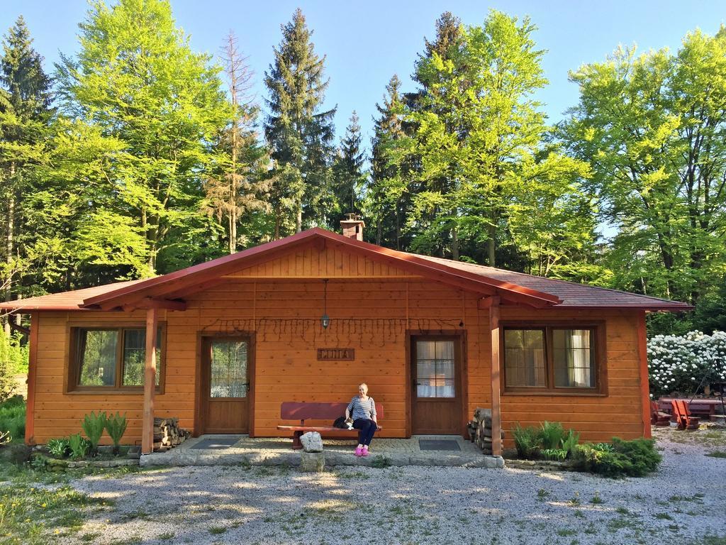 Dom Lidia Villa Szklarska Poręba Kültér fotó